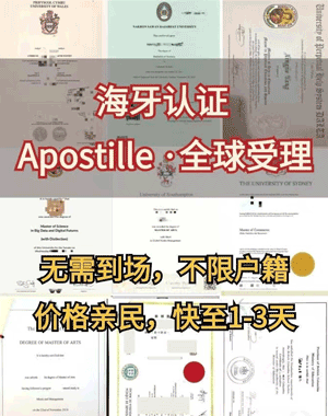 香港亚洲商学院海牙认证有用吗