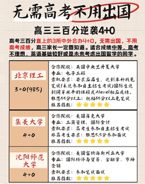 上海大学4+0国际本科有哪些专业
