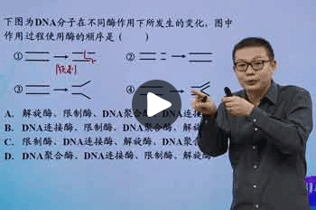 赵正高二生物