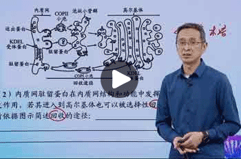 林祖荣老师高三生物