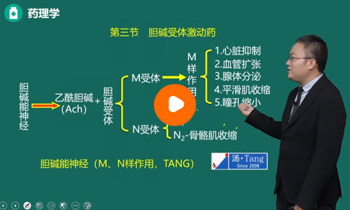 汤以恒临床执业医师