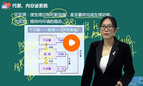 马蕴琦临床助理医师