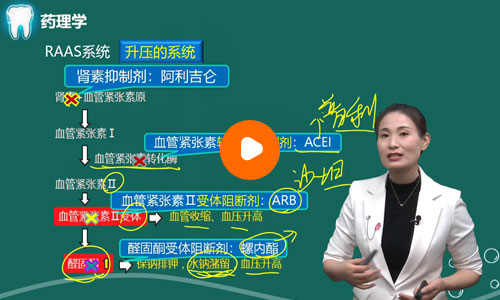 赵苪言口腔助理医师