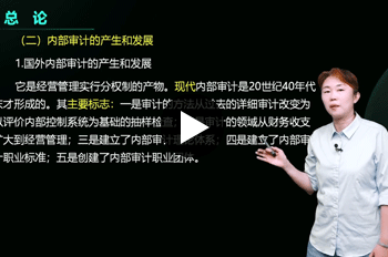邓宁审计师审计理论与实务