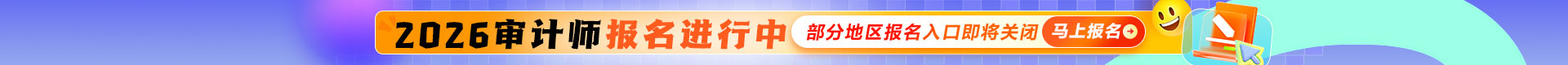 审计师活动
